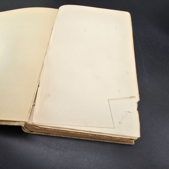 Edgar Allan Poe Poems Book-Lovers Eldorado Edition Putnams Sons Numbered DH1369 - Picture 7 of 16